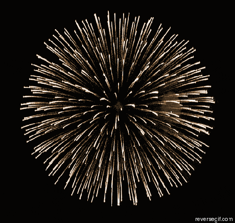fireworks reverse animated GIF