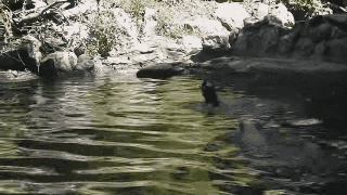 source: imgur.com