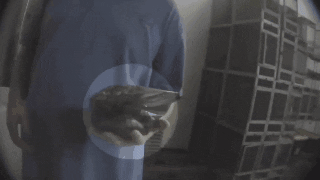source: imgur.com