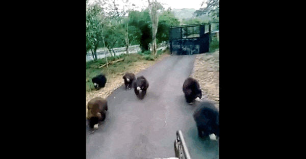 source: imgur.com