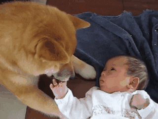 source: imgur.com