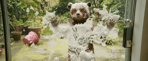 Washing GIF by Paddington 2 - Find & Share on GIPHY