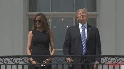 Hilarious Donald Trump GIF - Find & Share on GIPHY