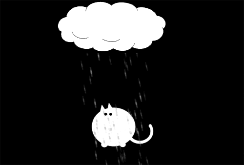 cat animated GIF