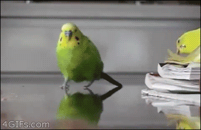 Thats-some-funny-shit GIFs - Get the best GIF on GIPHY