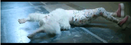 giphy.gif