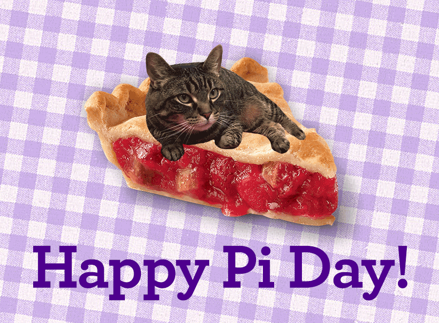 eat cherry pie gif by nebraska humane society