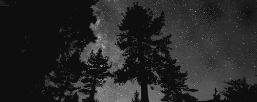 black and white animated GIF 