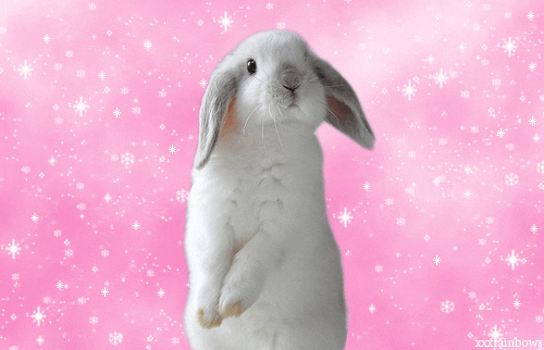 kawaii animated gif