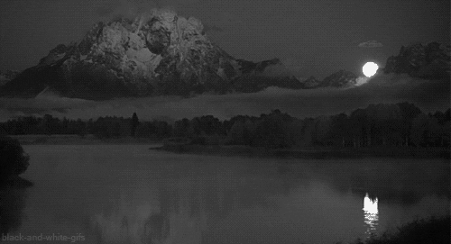 black and white animated GIF 