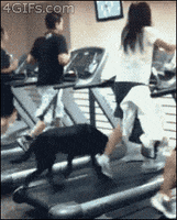  Animated Gif on Giphy