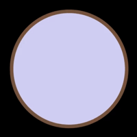 0zigrey