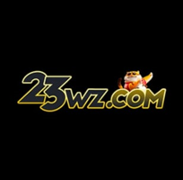 23wznetbr