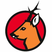 3fmediagroup