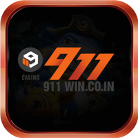 911wincoin
