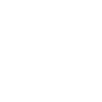 AVIchile