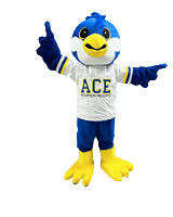 AceAcumenHeights