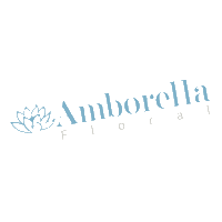 AmboFlo