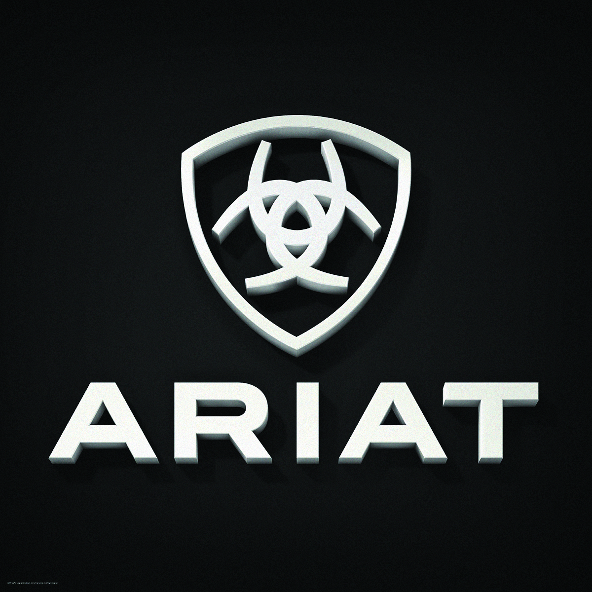 ariat boot logo