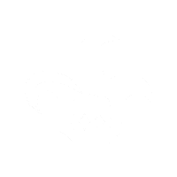 ArlequinStreetBand