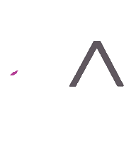 ArtisanSkinandLaser