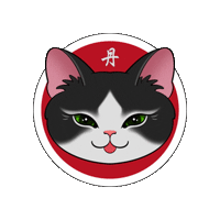 Asikata