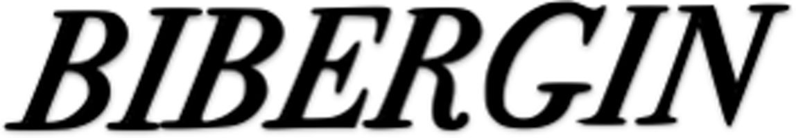 BIBERGIN