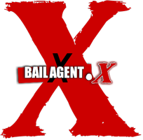 BailAgentX