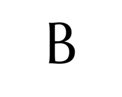 Bensalvage12