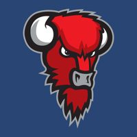 Bisons