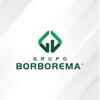 grupoborborema