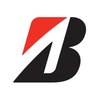 BridgestoneIndia