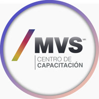 CCMVS