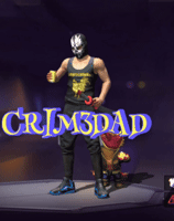 CRIM3D4D