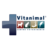 CVitanimal