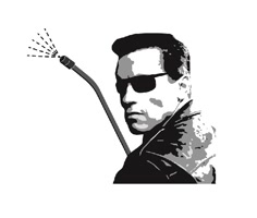 CairnsPestExterminator