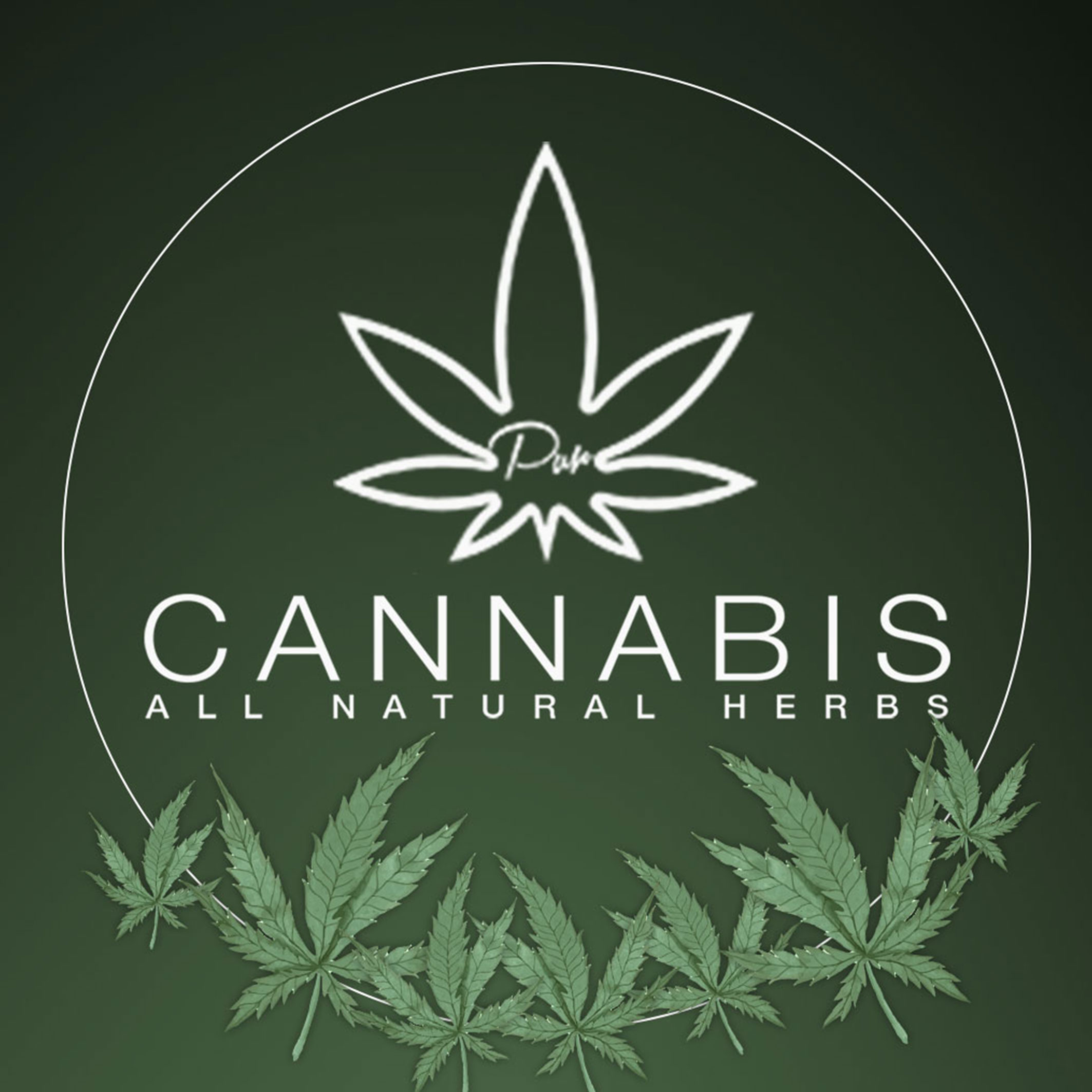 Cannabis Stores GIFs - Find & Share on GIPHY