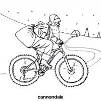 Cannondale_CSG