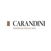 CarandiniOfficial