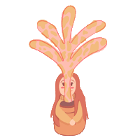 Caritoilustra