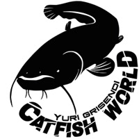 CatfishWorld