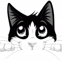 CatsLikeFelix