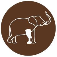 Chronicallybrown
