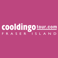CoolDingoTour