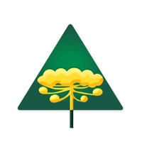 CoopBJ
