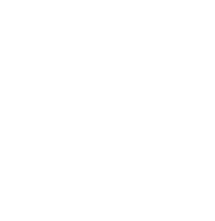 Crocodile_Global