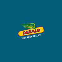 DEKALB_IBERIA