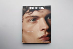 DSECTION