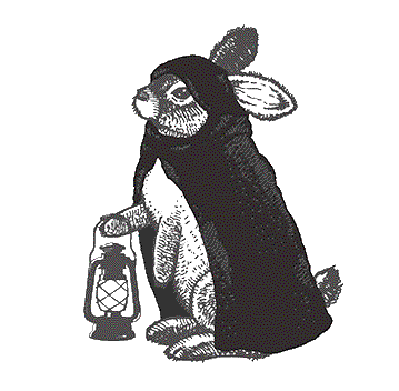 Dark Rabbit Society GIFs - Find & Share on GIPHY