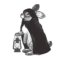 DarkRabbitSociety